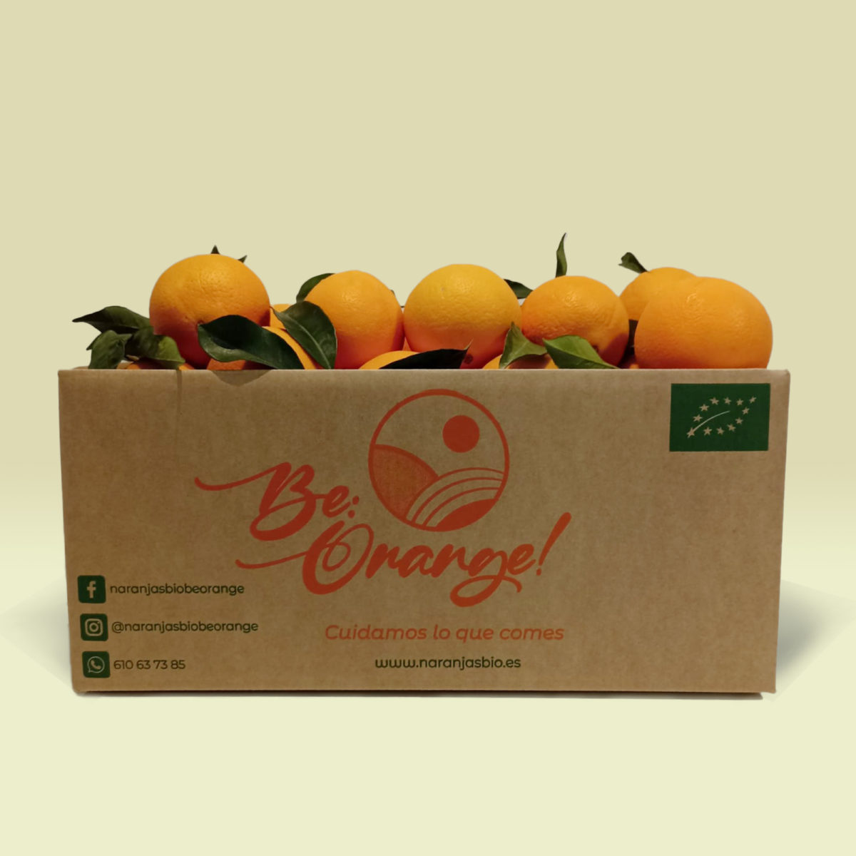 Naranjas Mesa Powell Summer