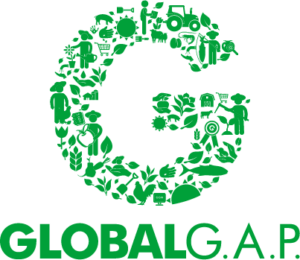 G_Logo_green_RGB